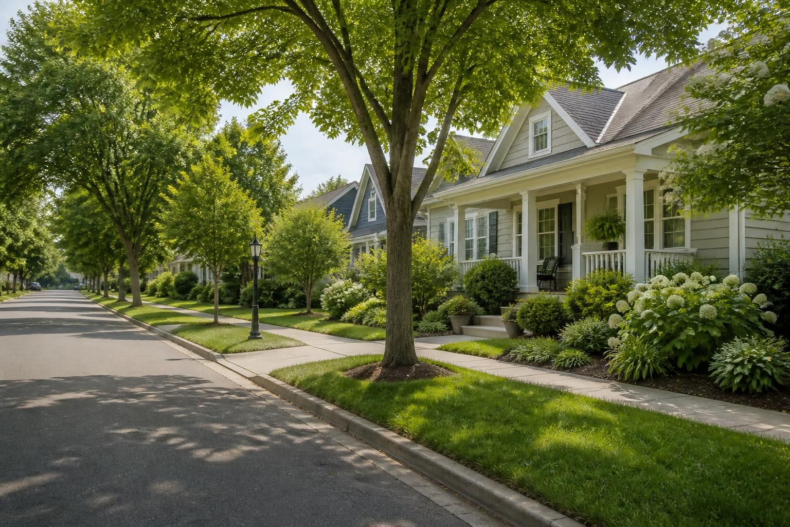 Calm residential street with lush greenery